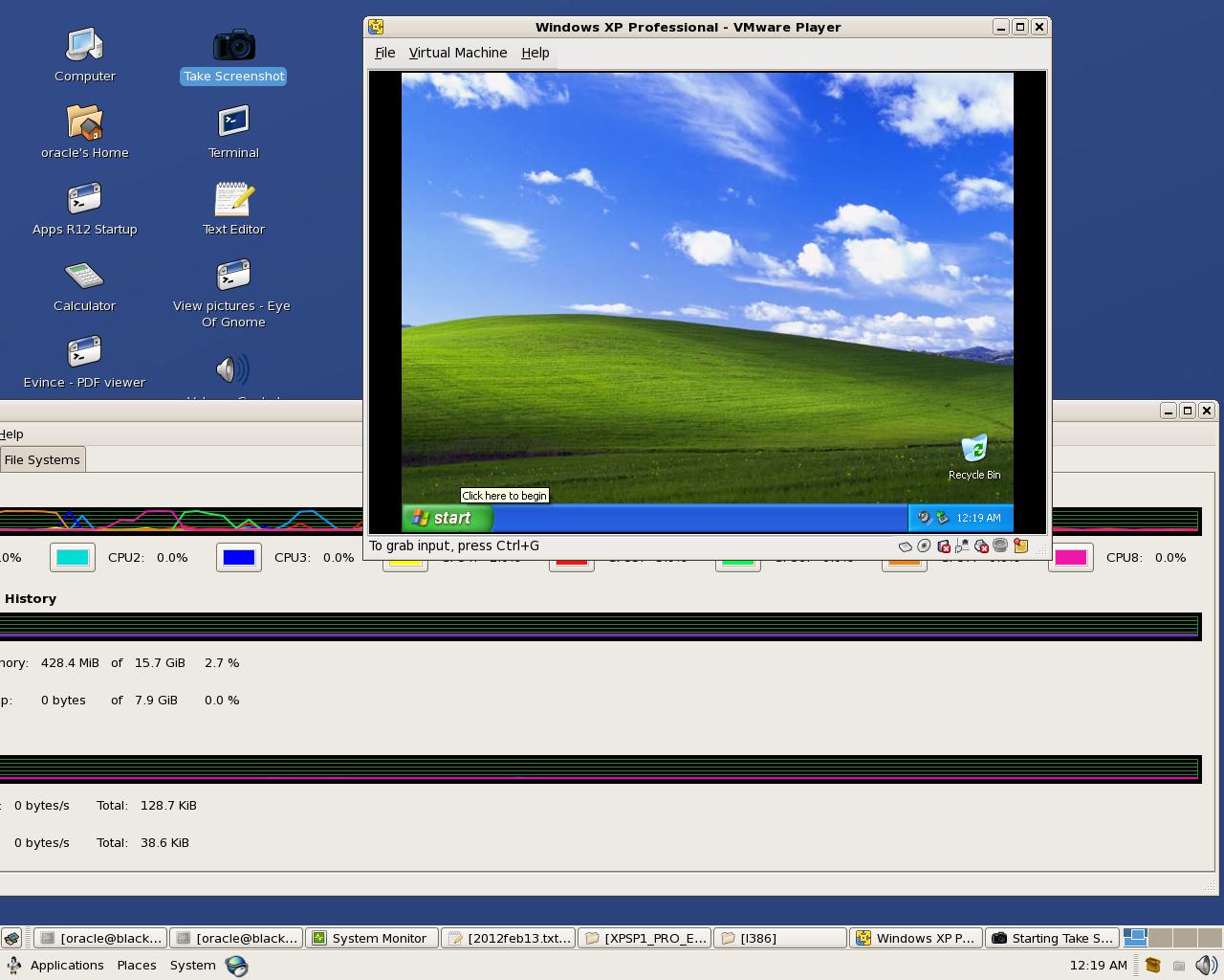 VMWare Player Running Windows XP Pro Virtual Machine VMWare Player Running Windows XP Pro Virtual Machine