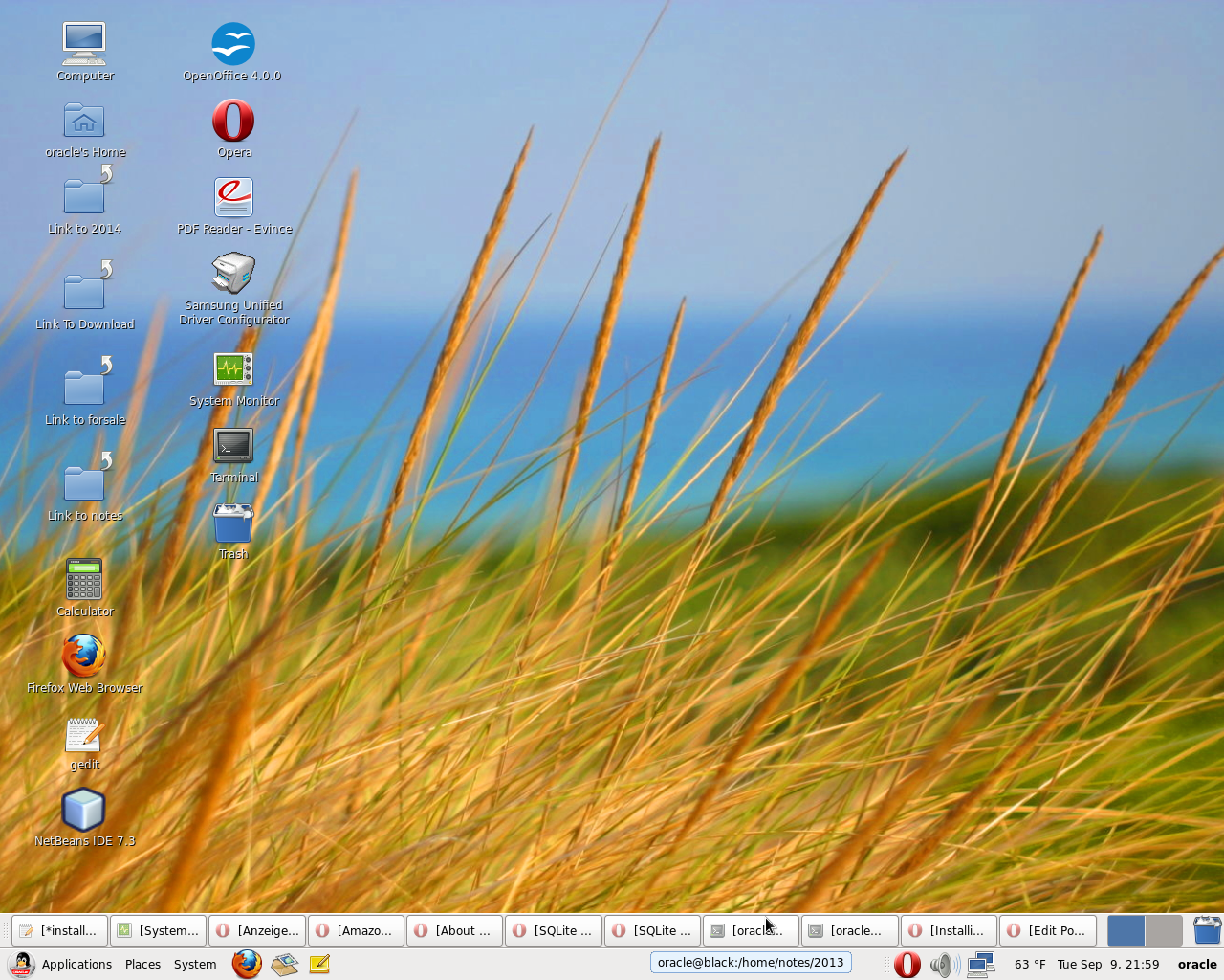 Redhat Desktop